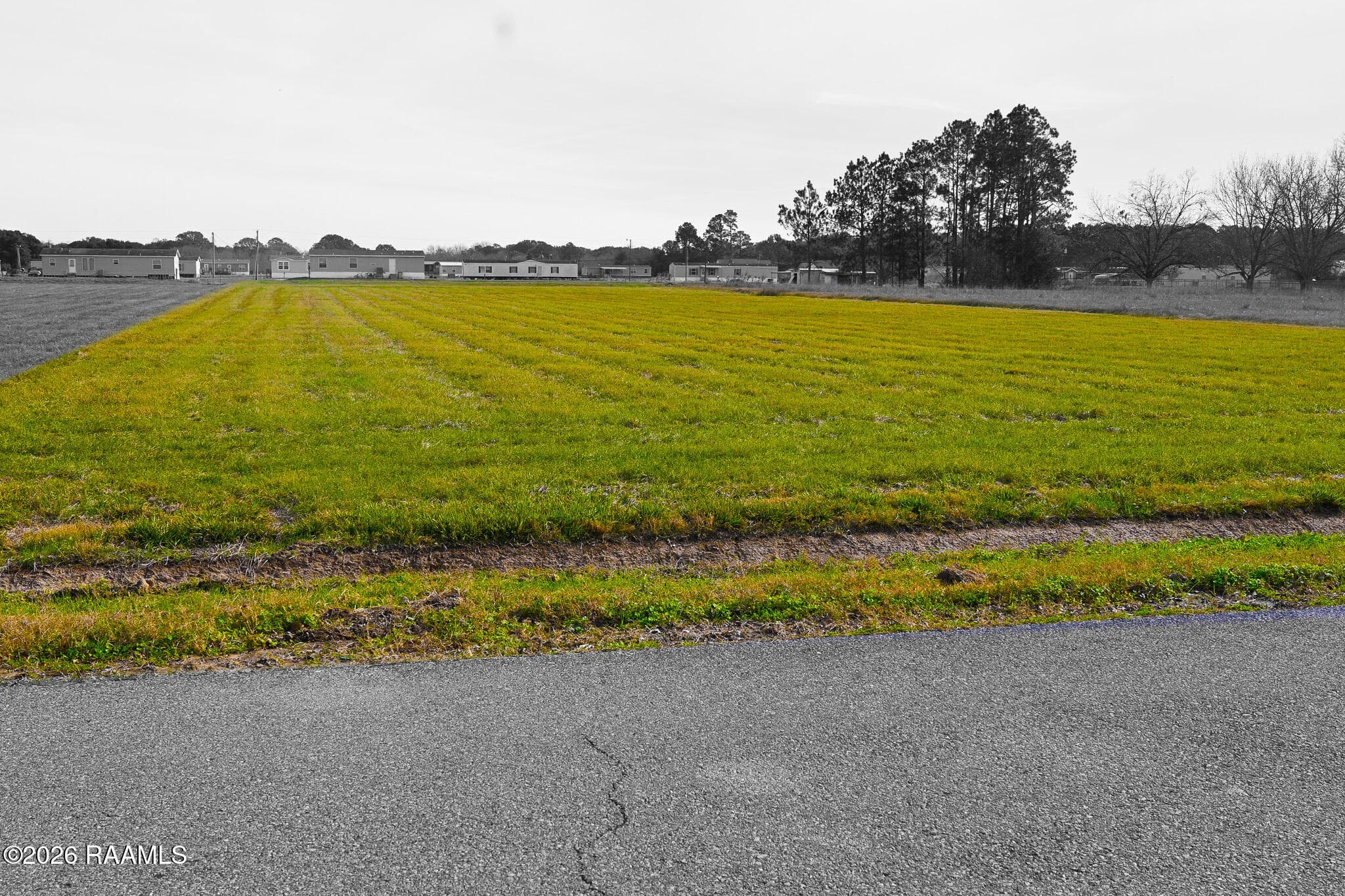 Roadside 2