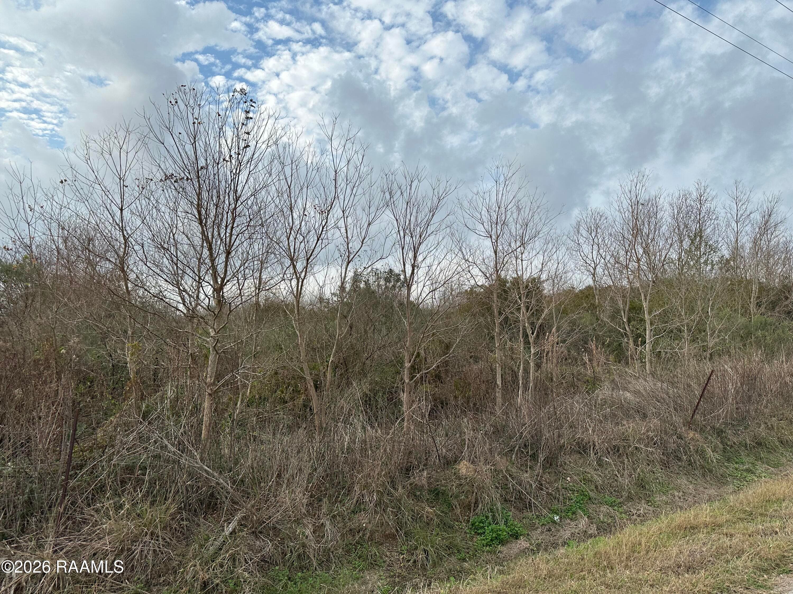 Bourque Road, Gueydan, LA, 70542