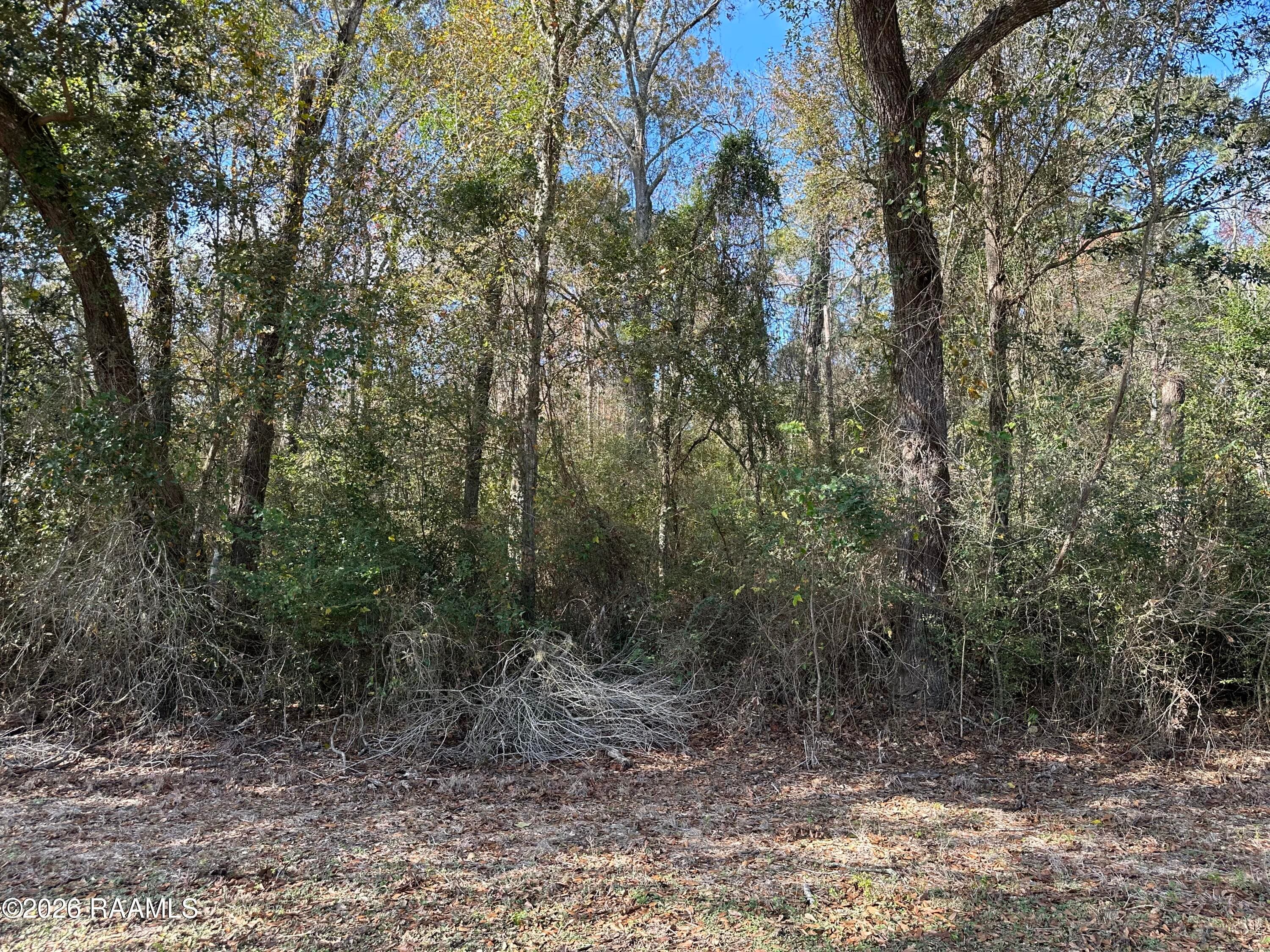 Hoffpauir Road, Gueydan, LA, 70542