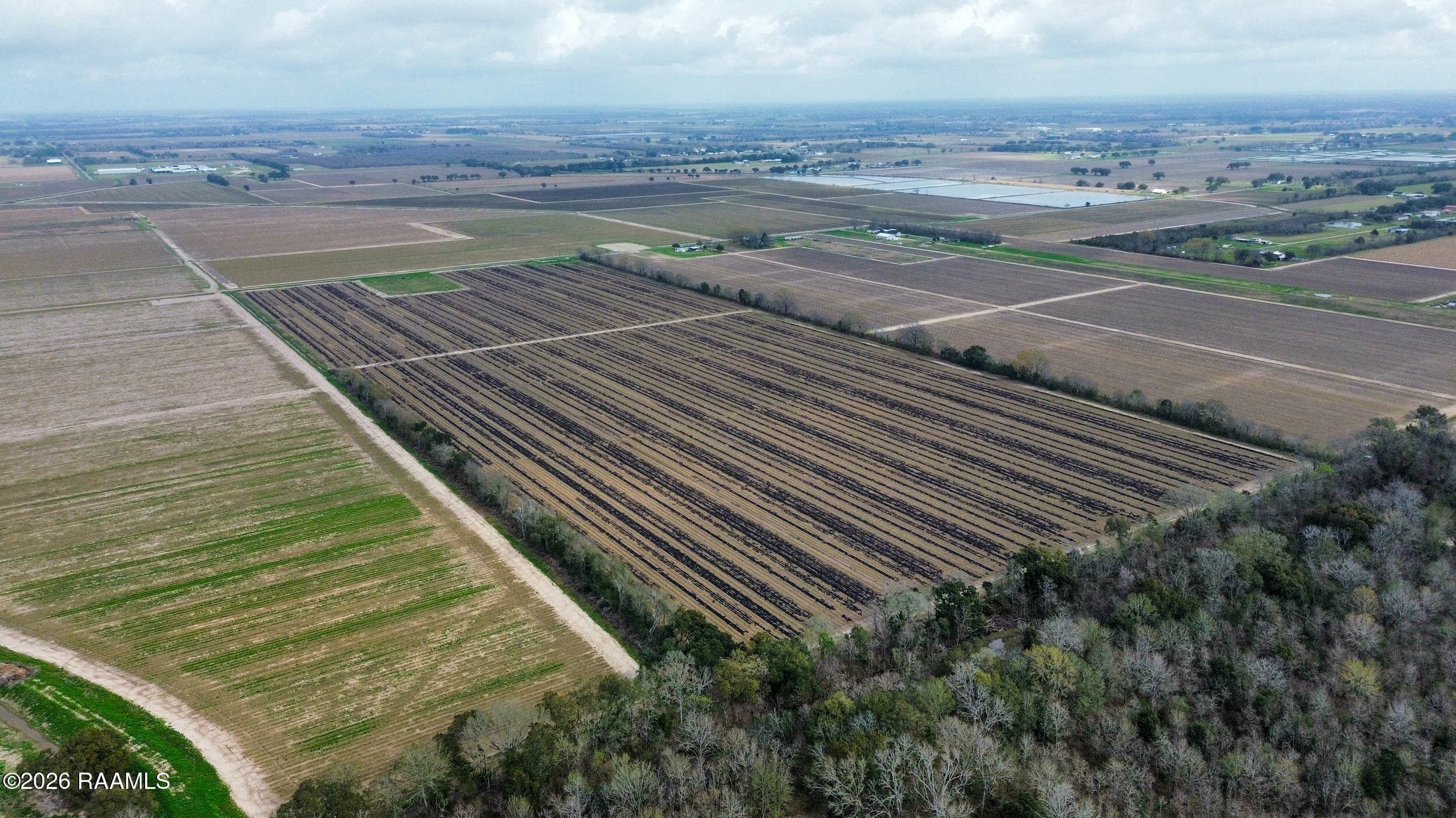 1_dji_fly_20260220_102418_141_1771604678