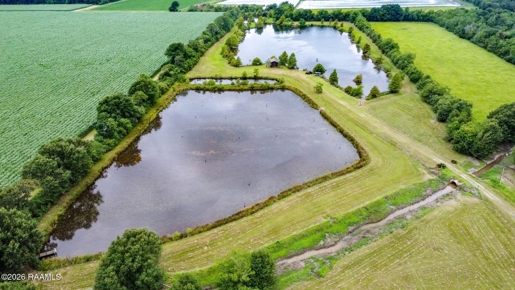 4-web-or-mls-2718 Riceland Aerials-4