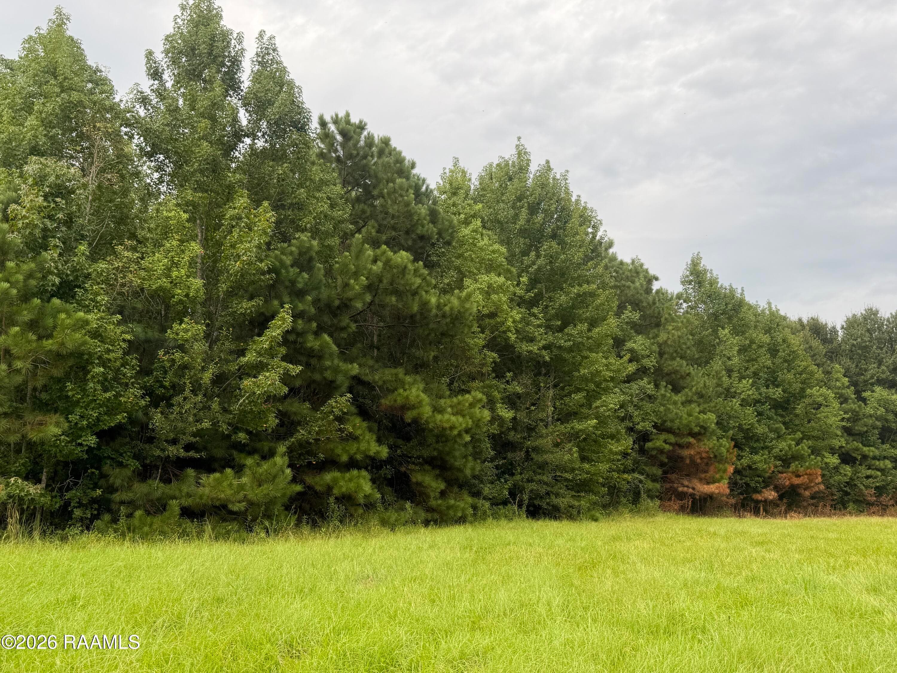 210 Bellemin Lane, Sunset, LA, 70584