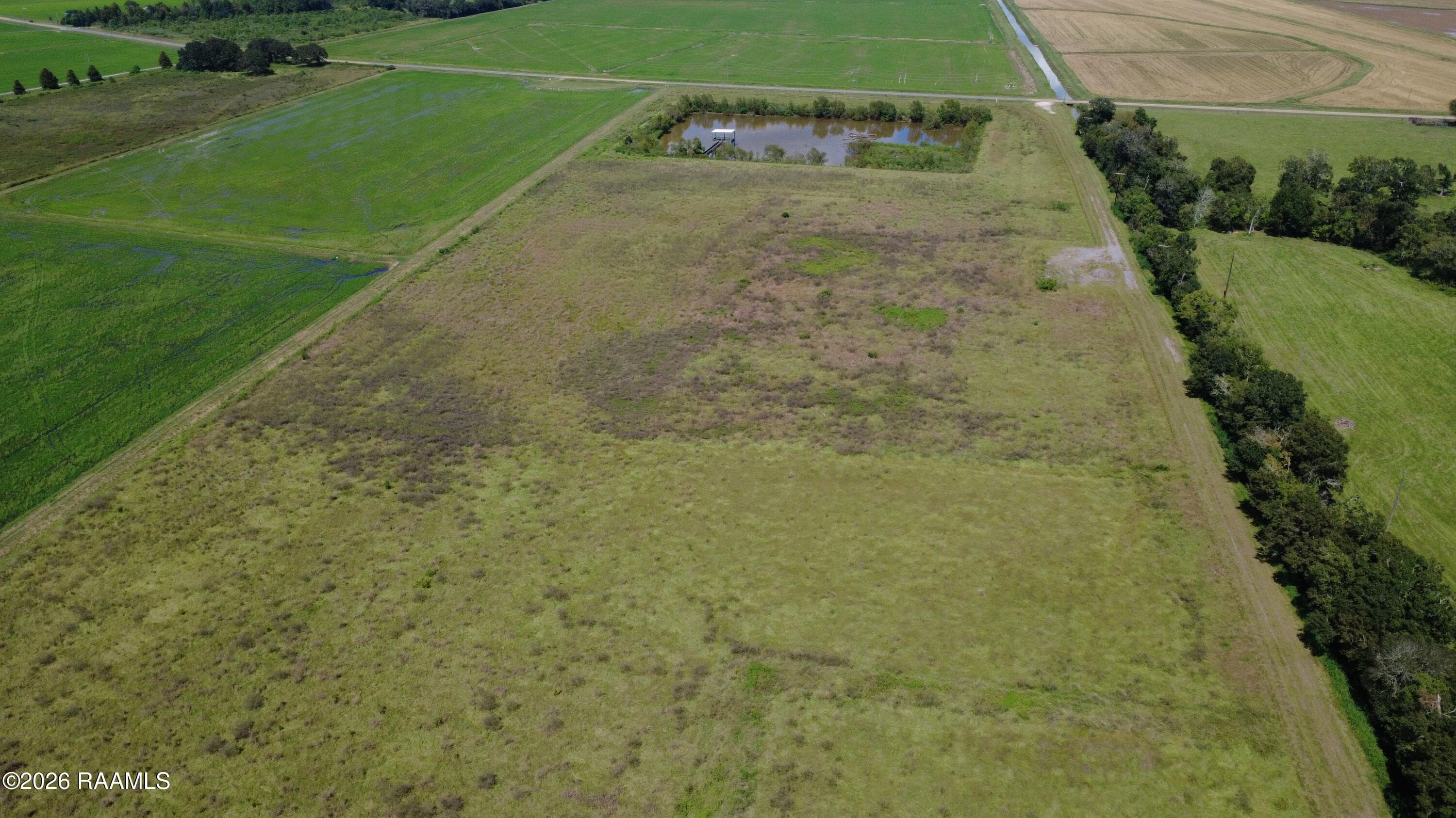 DJI_0081