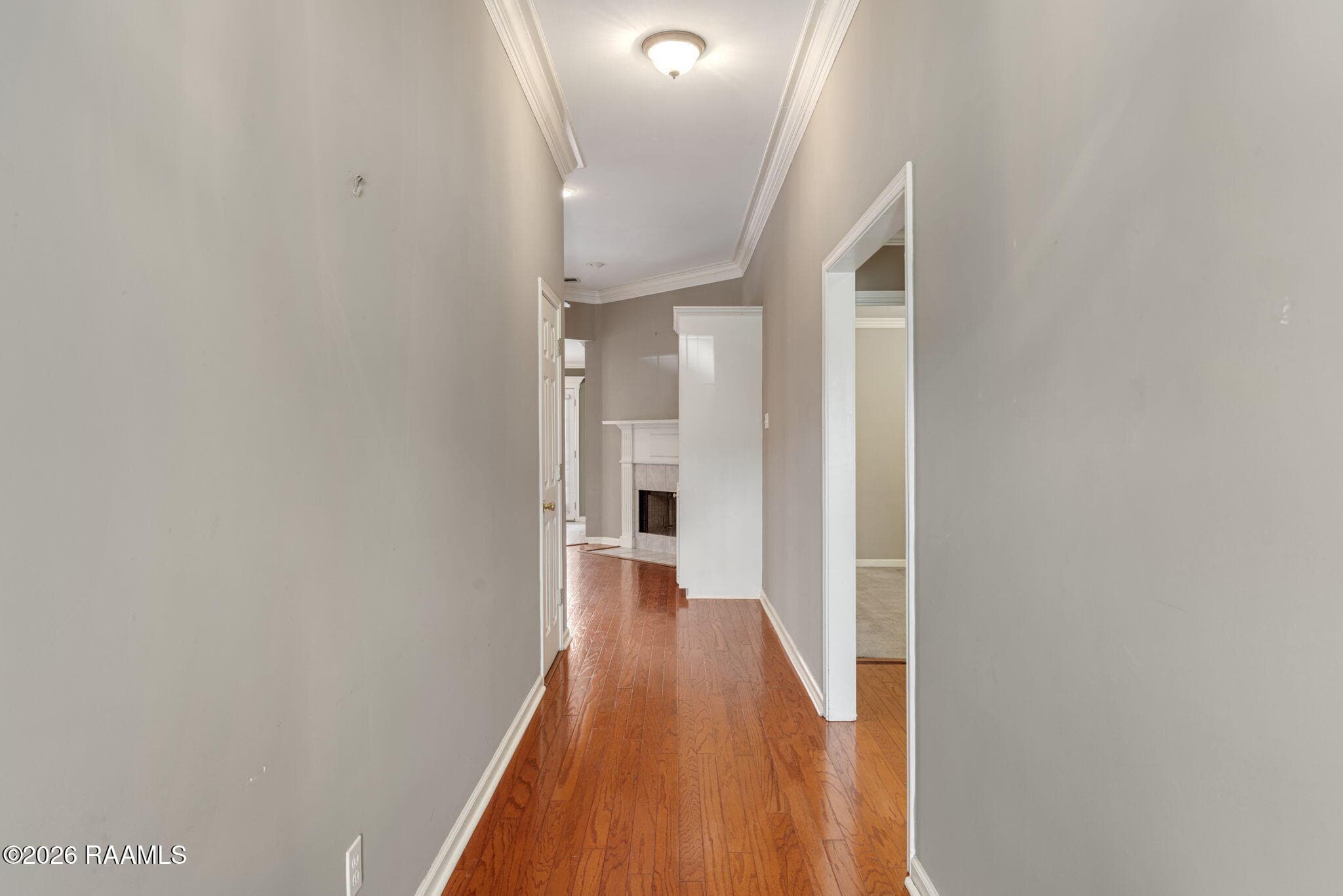 3-web-or-mls-106 Cane Ridge Cir-3