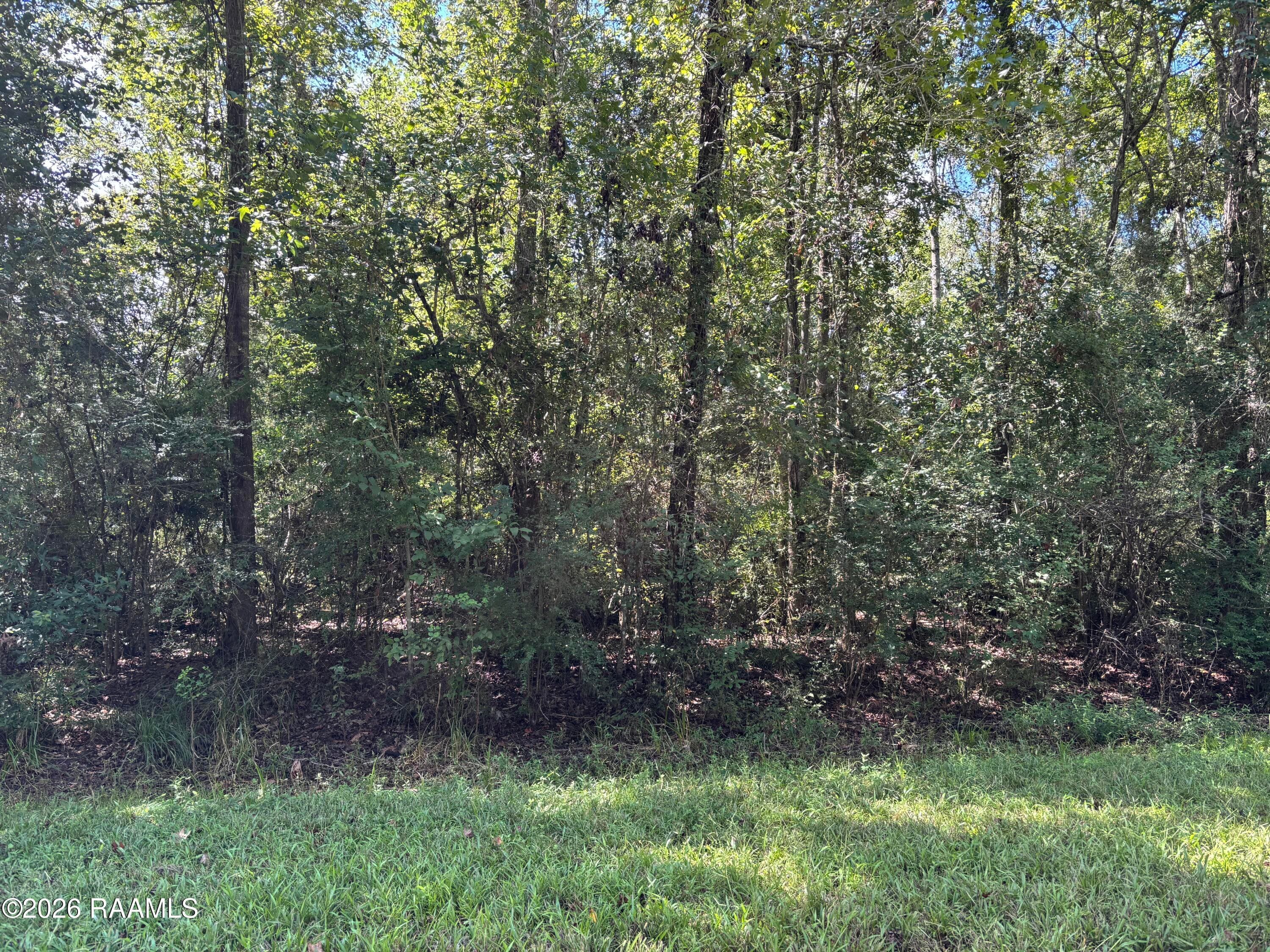 Tbd Cecil Lane, Abbeville, LA, 70510