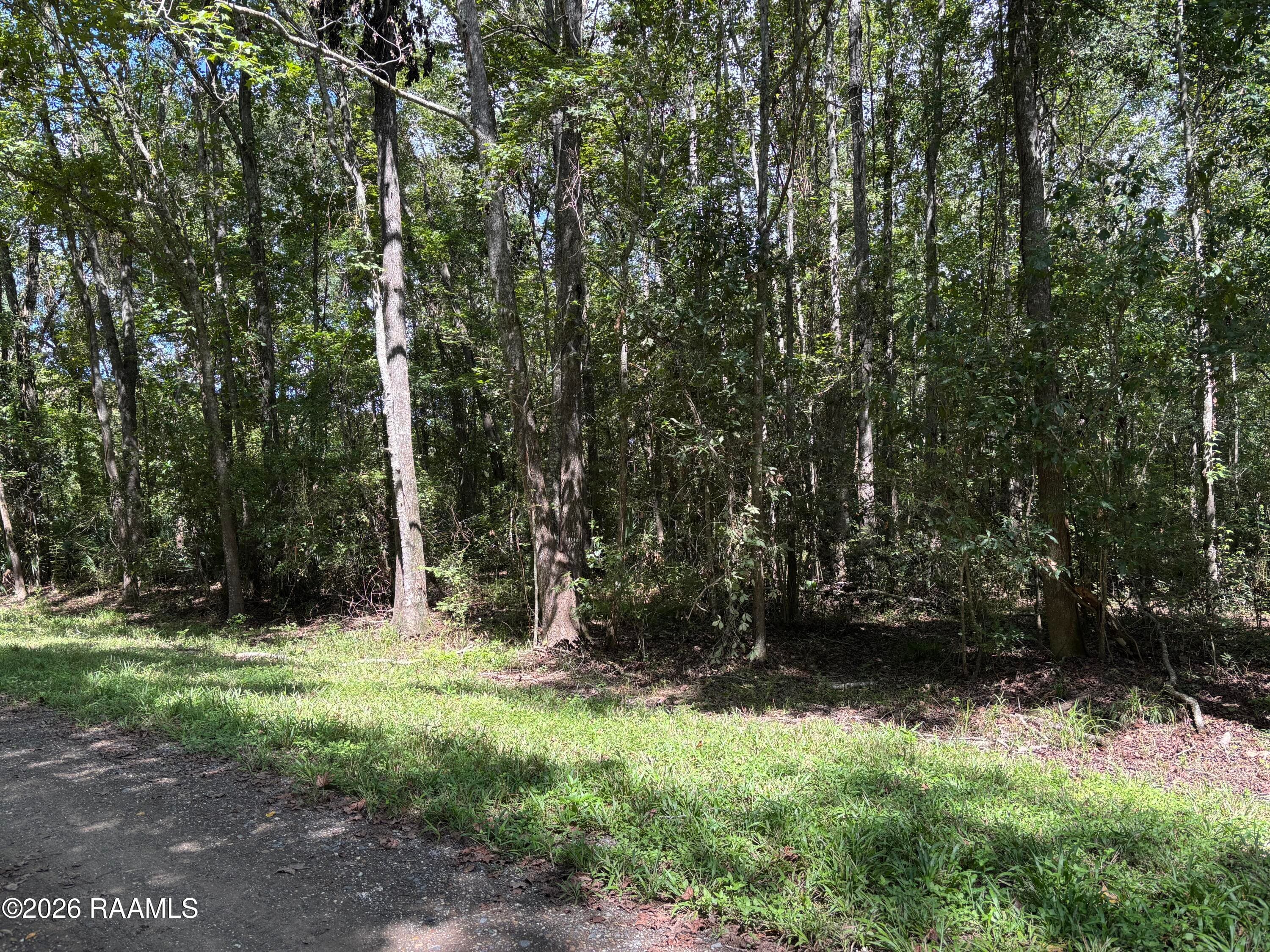 Tbd Cecil Lane, Abbeville, LA, 70510