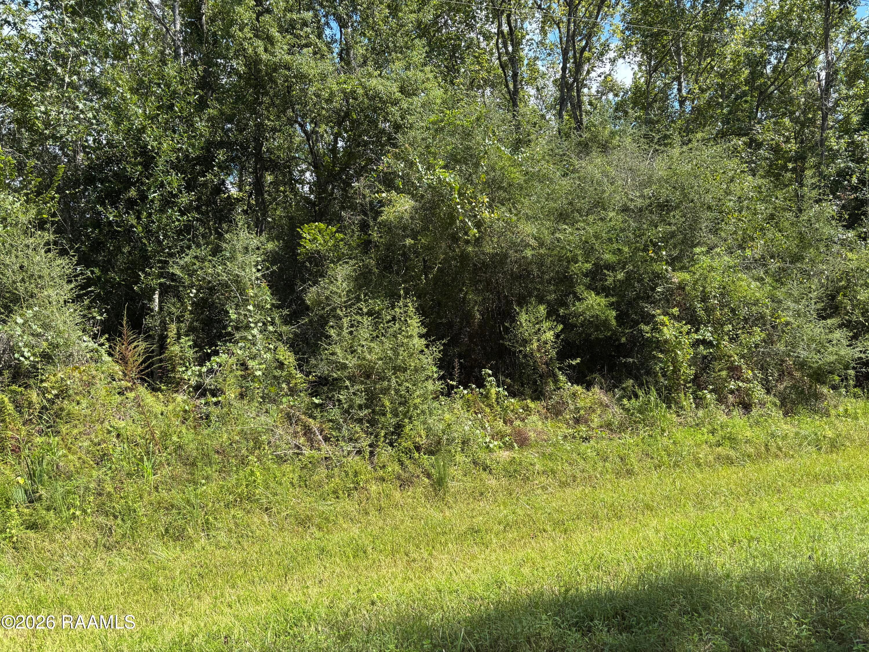 Tbd Plantation Place, Abbeville, LA, 70510