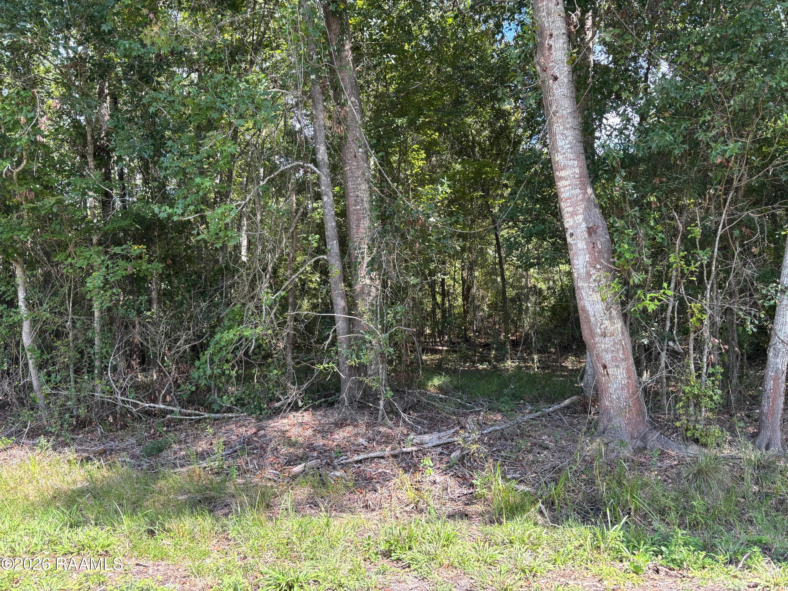 Tbd Plantation, Abbeville, LA, 70510