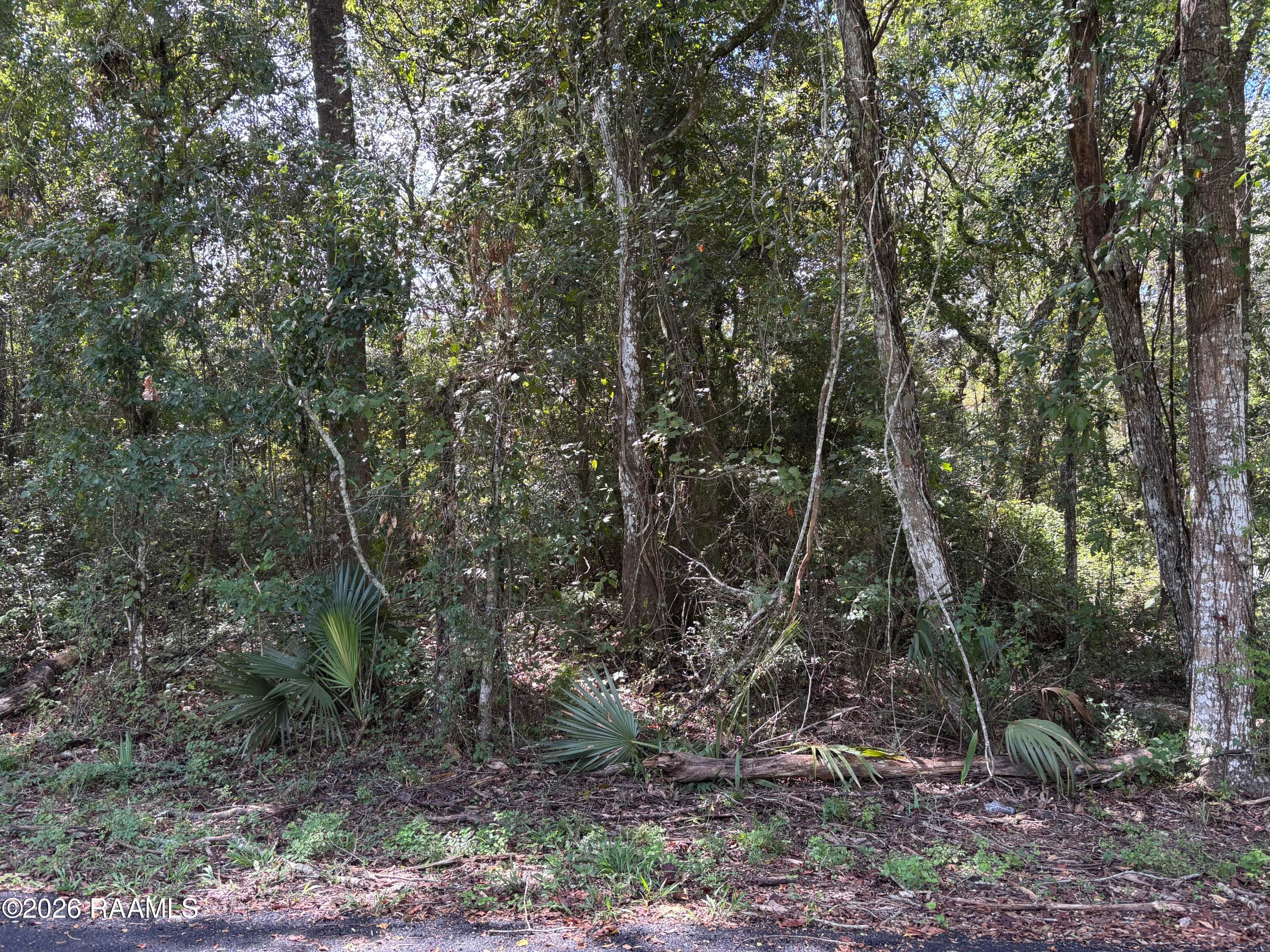 Tbd Plantation Place, Abbeville, LA, 70510